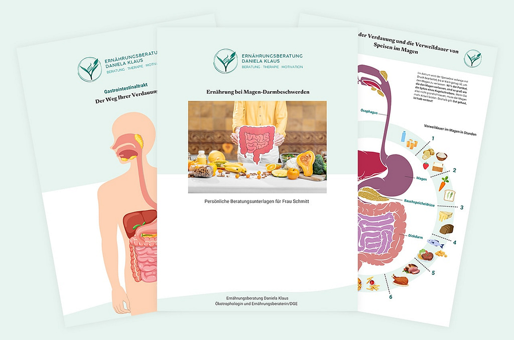 Individuelle Ernährungsberatung Frankfurt am Main und online – Beratungsunterlagen